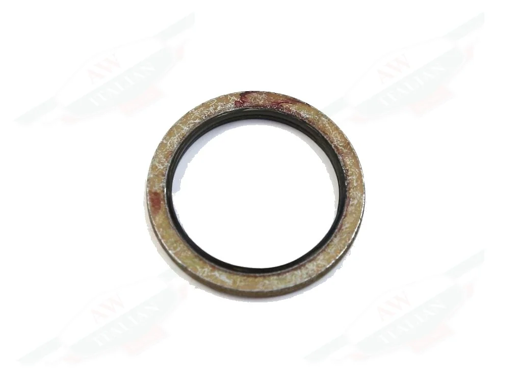 Ferrari Gasket - 117884