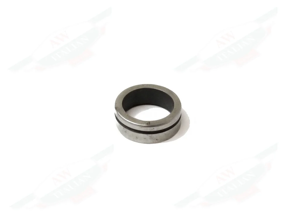 Ferrari Exhaust Valve Seat - 120479