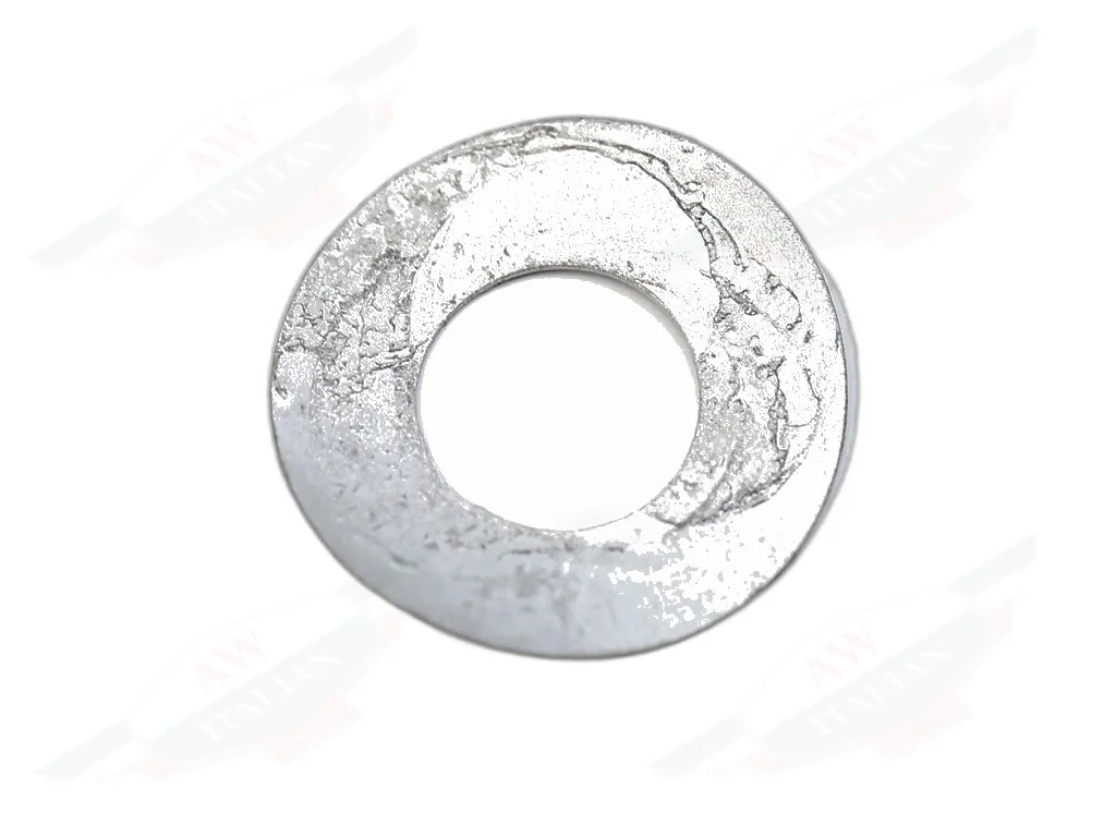 Ferrari Spring Washer - 12541874