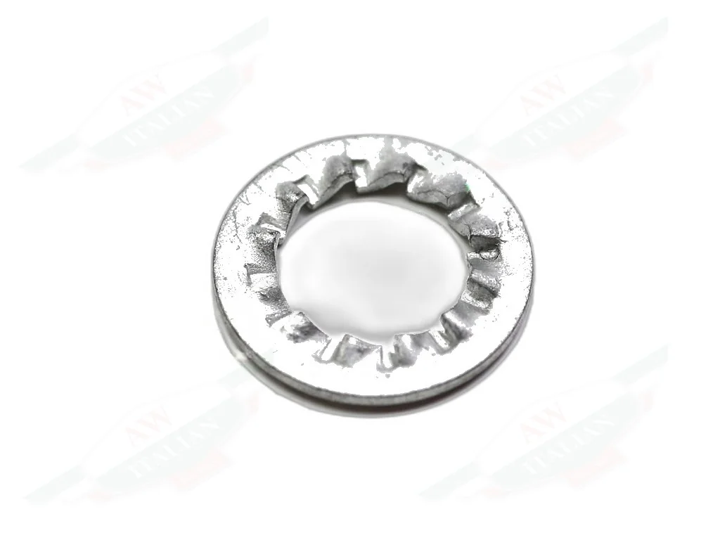 Ferrari Shakeproof Washer - 12605674