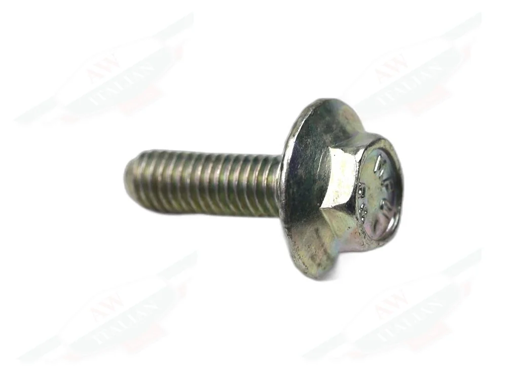 Ferrari Screw - 13836971