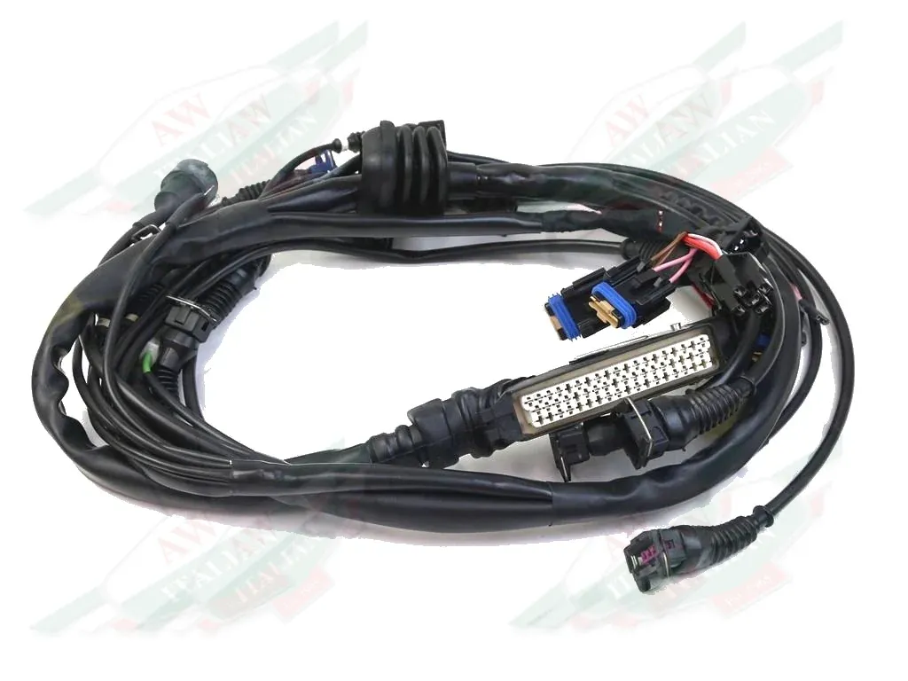 Ferrari RH Engine Connection Cables - 138876