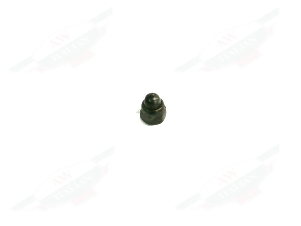 Ferrari Nut - 14042077