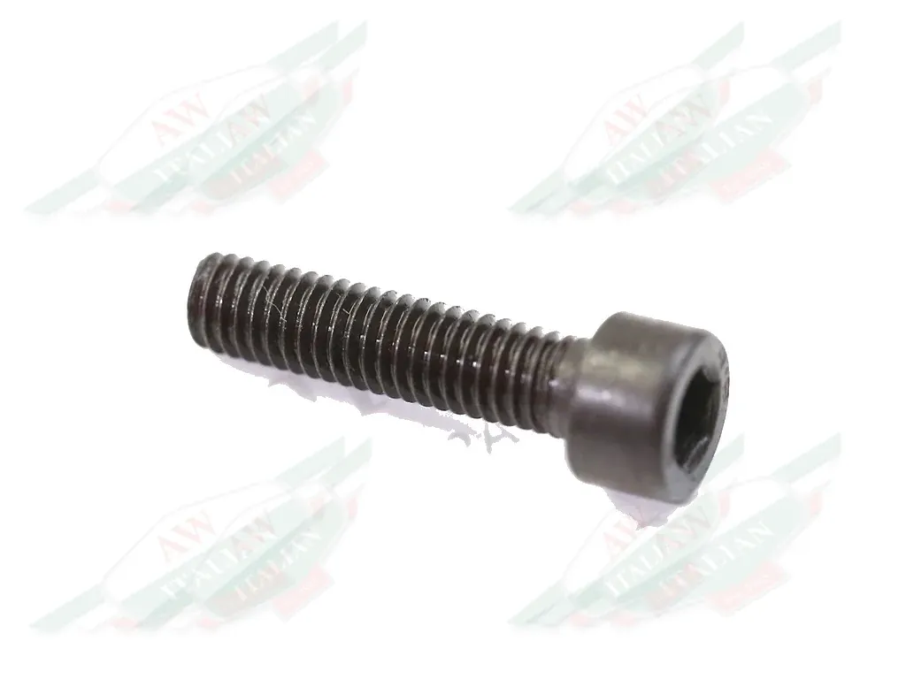 Ferrari Allen Screw - 14305426