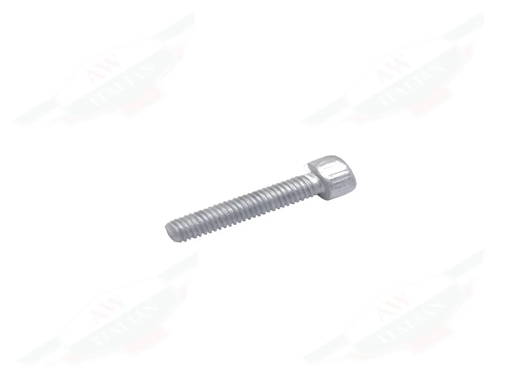 Ferrari Screw M6 x 30 - 14305574