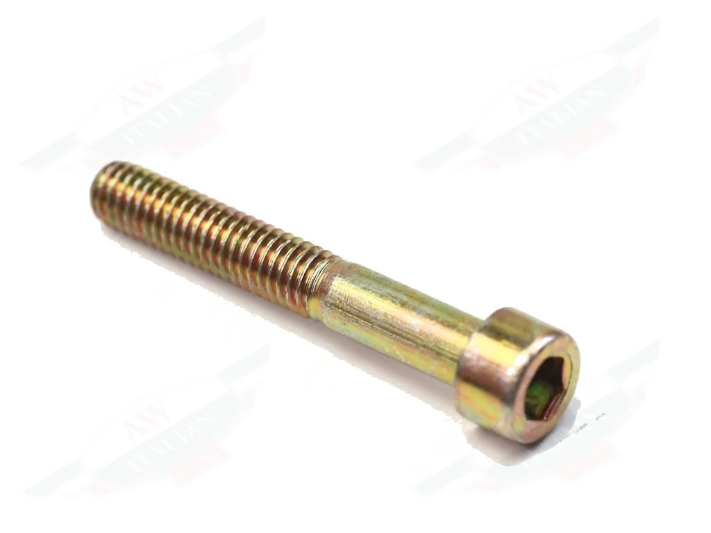 Ferrari Screw -M6 X 40- - 14305821