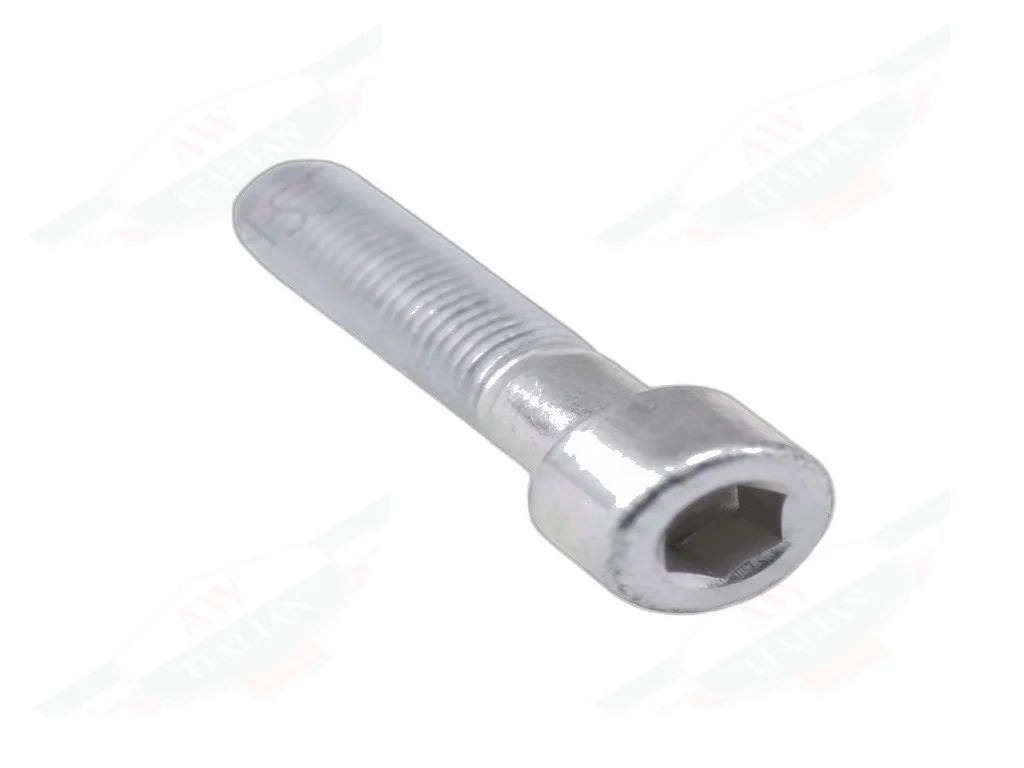 Ferrari Screw - 14307821