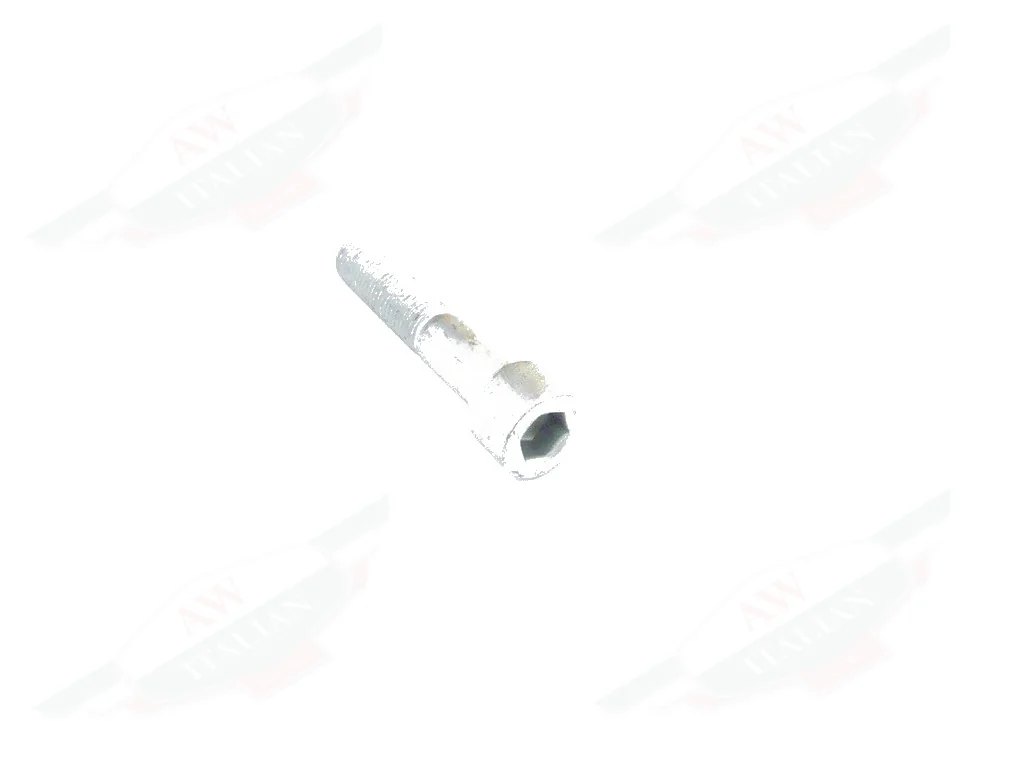 Ferrari Screw - 14308024