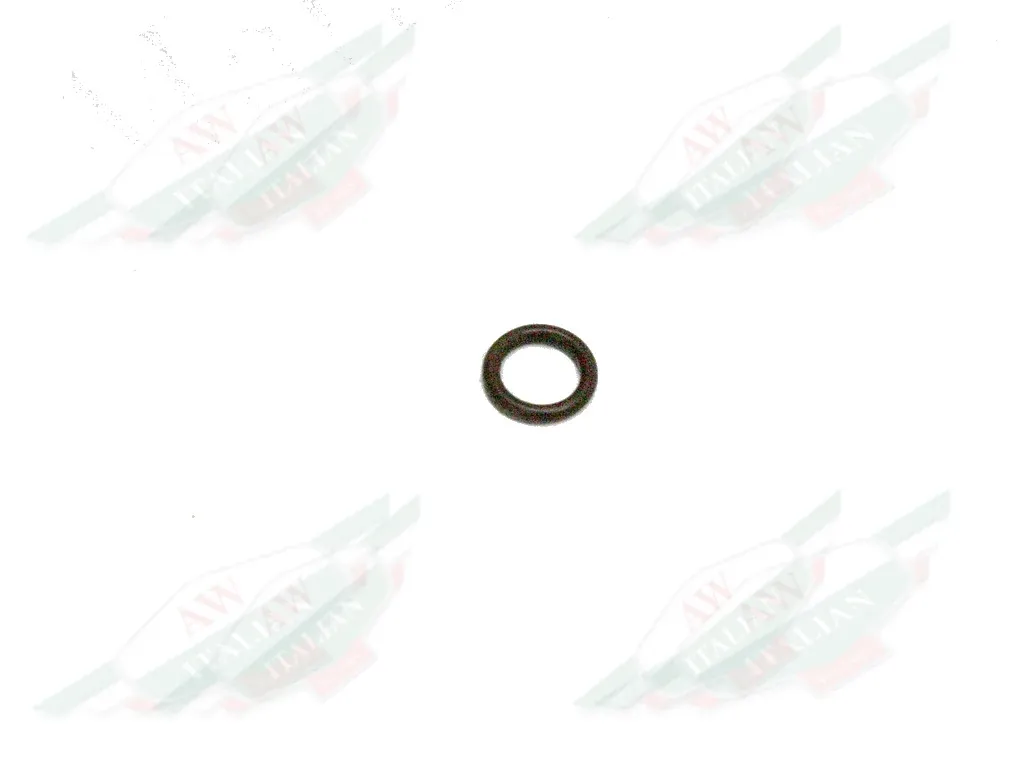Ferrari Oring Seal - 14452881