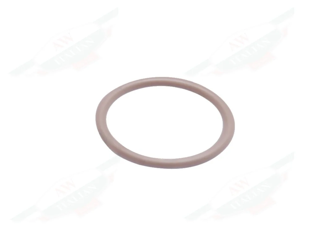 Ferrari Gasket - 14453284
