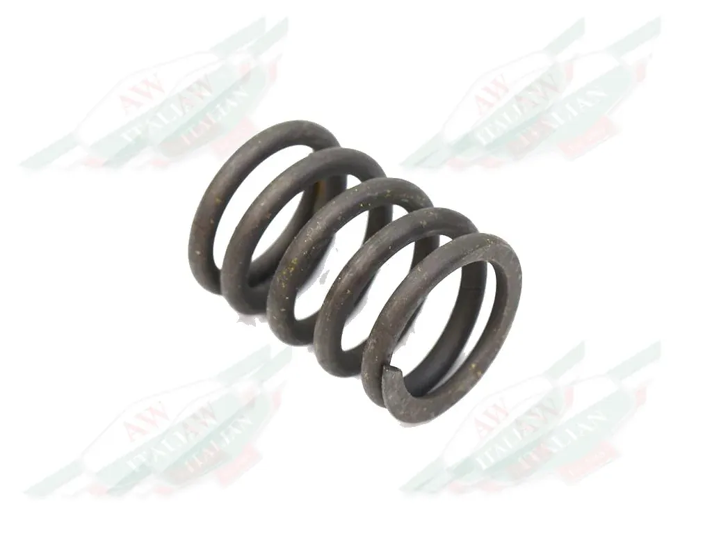 Ferrari Valve Spring - 149352