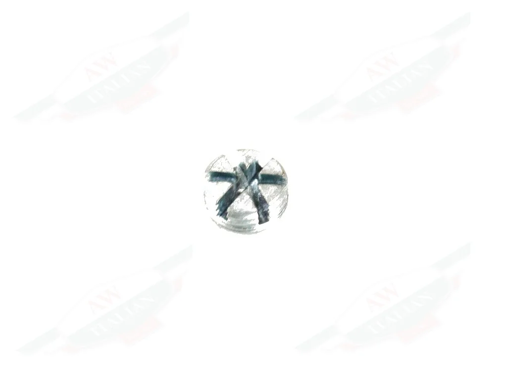 Ferrari Plug - 15150911