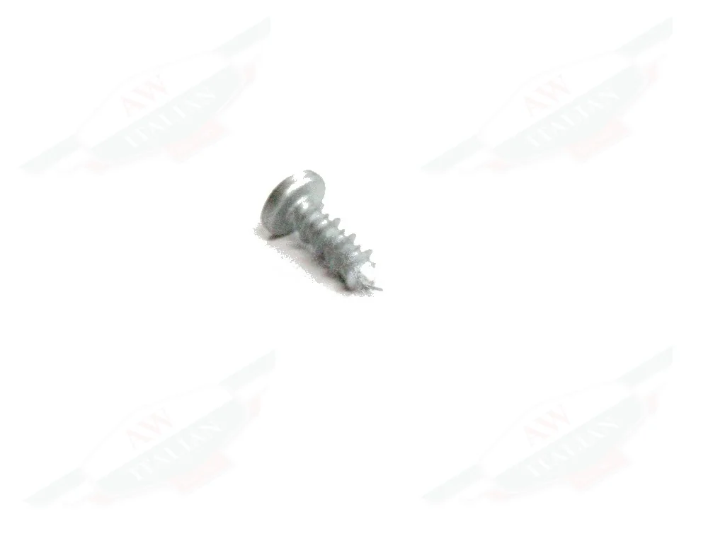 Ferrari Screw 5.5 x 16 TBIC - 15960304