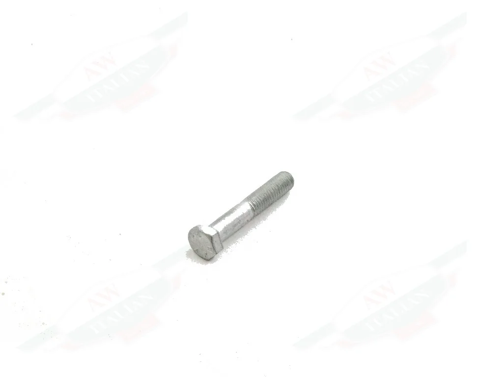 Ferrari Screw 8X45 - 16044134