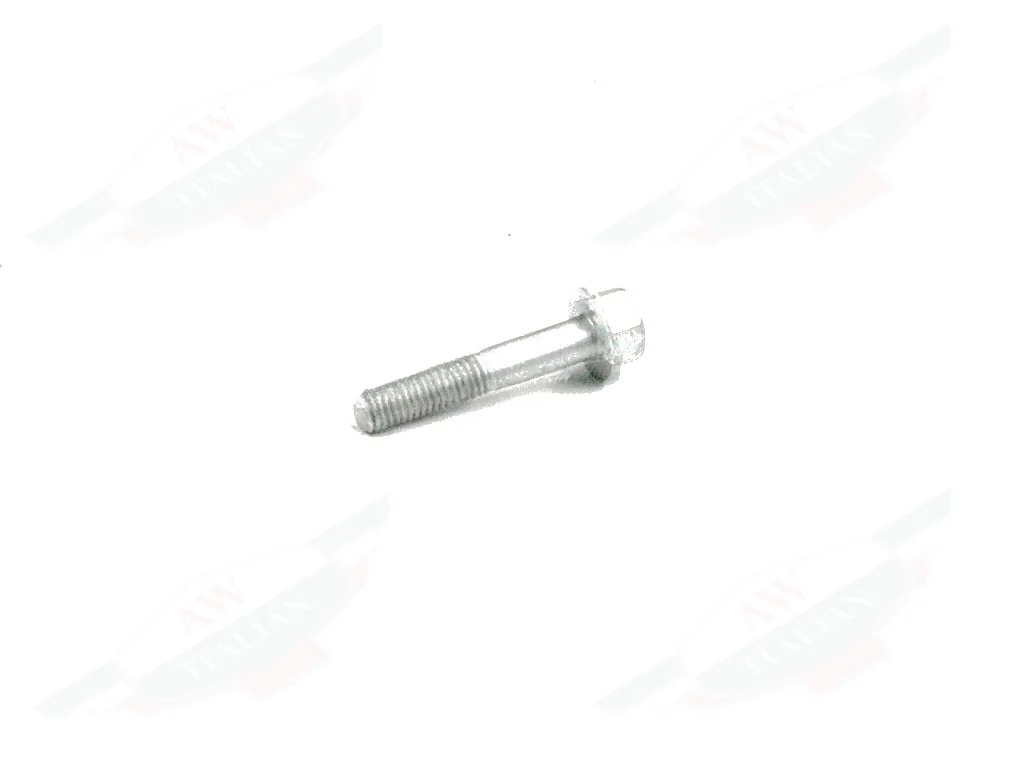 Ferrari Screw 8x45 - 16287624