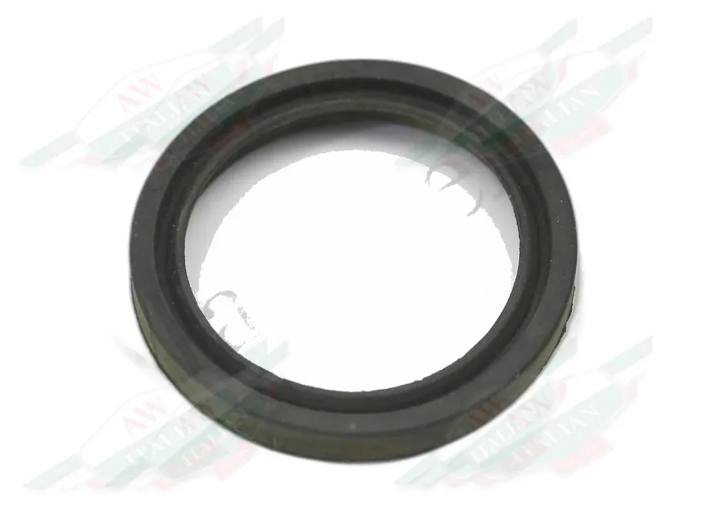 Ferrari Gasket - 169938