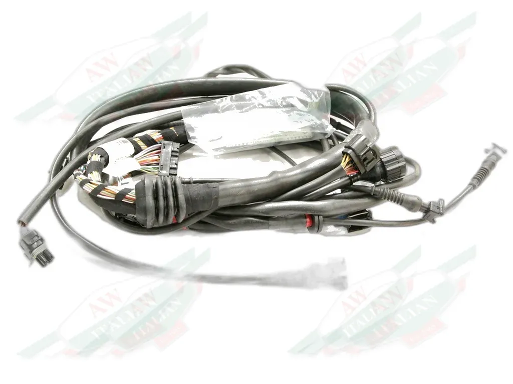 Ferrari RH Wiring Loom - 171394