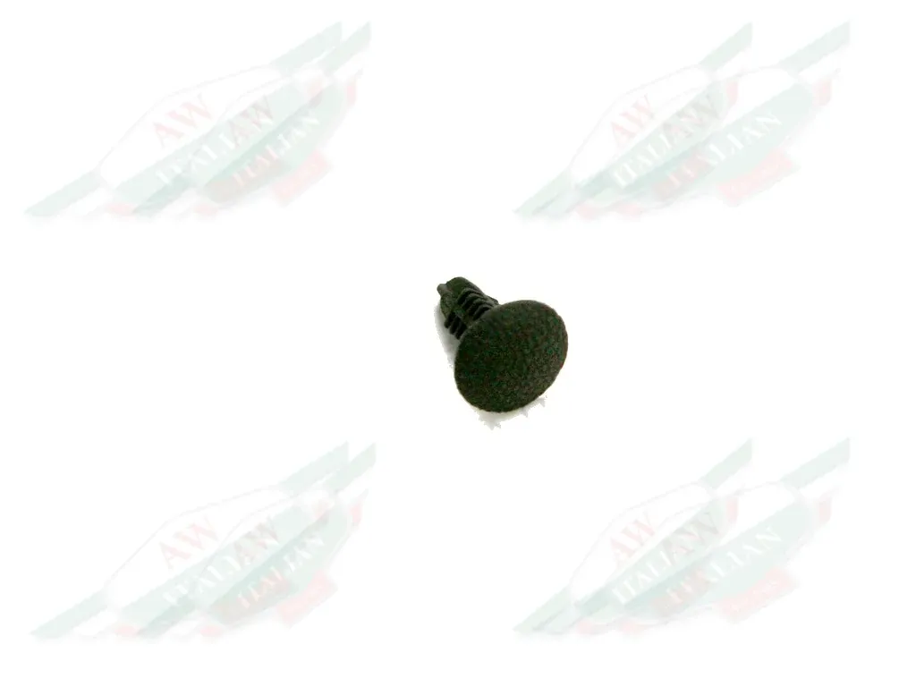 Ferrari Trim Screw - 178949