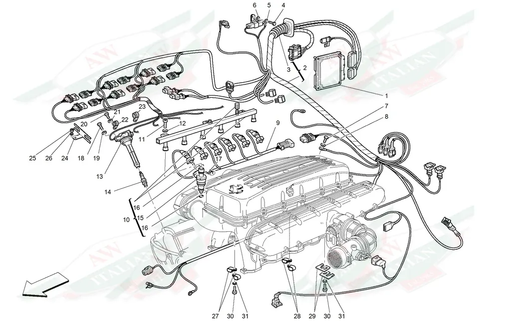 Ferrari RH Engine Cables LHD - 196495