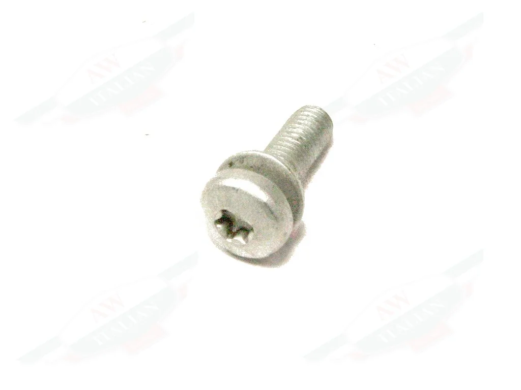 Ferrari Screw - 216575