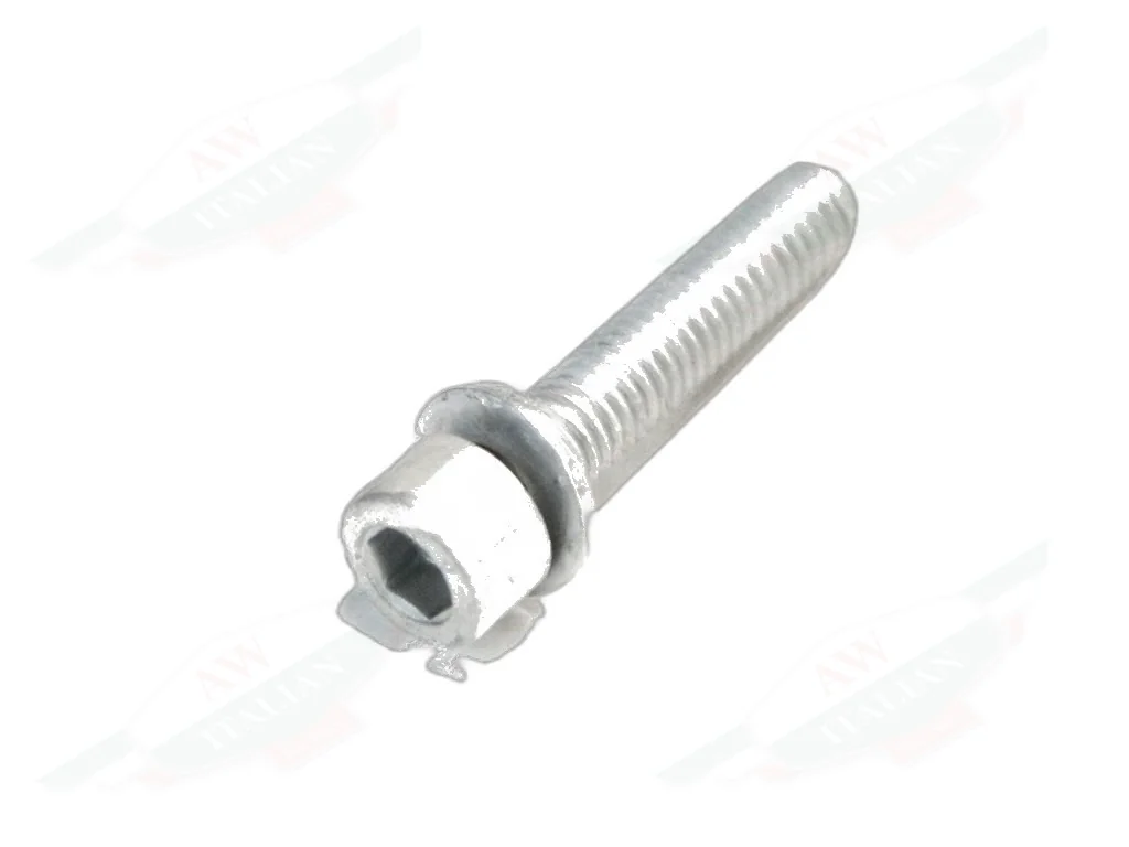 Ferrari Allen Screw M6 x 30 TCEI - 231621