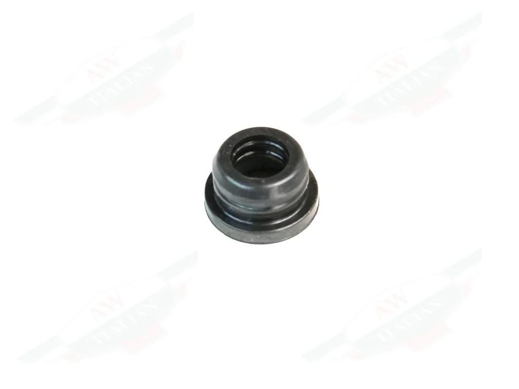 Ferrari Master Cylinder Seal - 241550