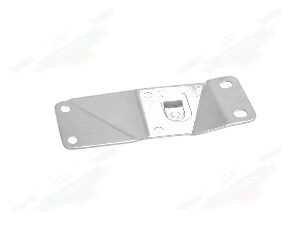 Ferrari Diagnostic Pump Mounting Plate - 241750