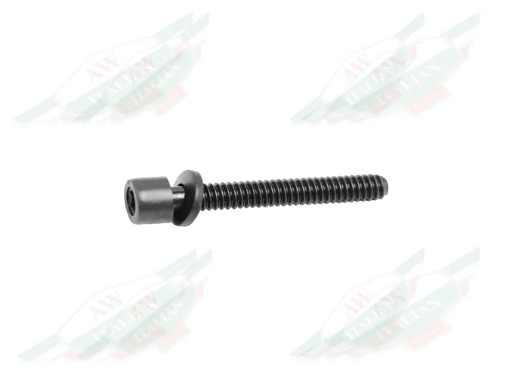 Ferrari Screw With Washer M6 x 35 TCEI - 243719