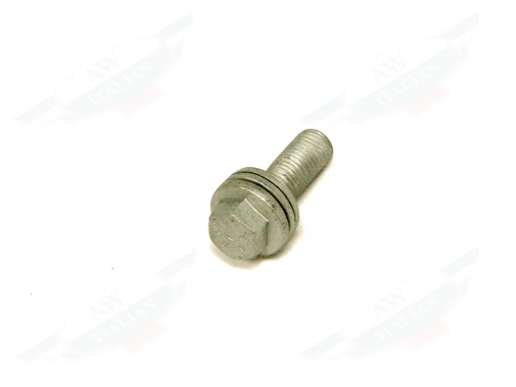 Ferrari Screw TE M10 x 1.25 x 30 with washer - 245843