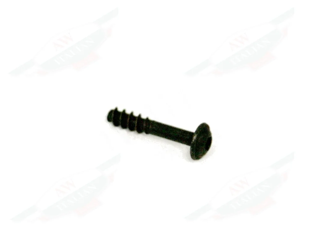 Ferrari California Self-Tapping Screw 6X30 - 249159 - AW Italian Auto Parts