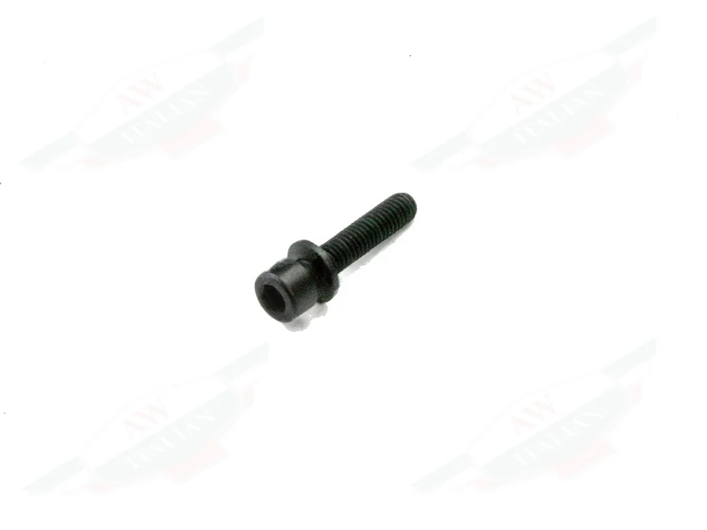 Ferrari Screw 6x30 - 282398