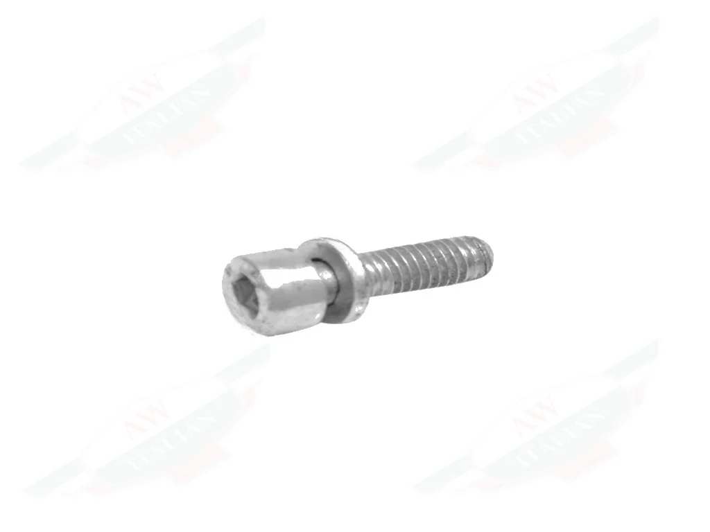 Ferrari Screw M5 x 16 - 299916