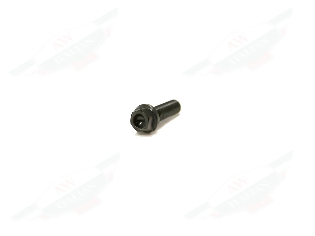 Ferrari Ergal Screw 6X20 - 302655