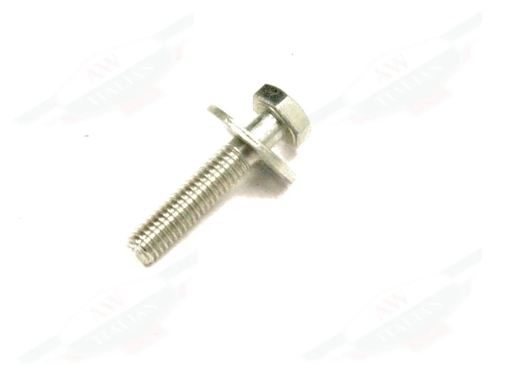 Ferrari Screw - 317169