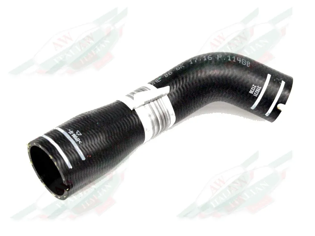 Ferrari Water Delivery Hose On Engin - 319231