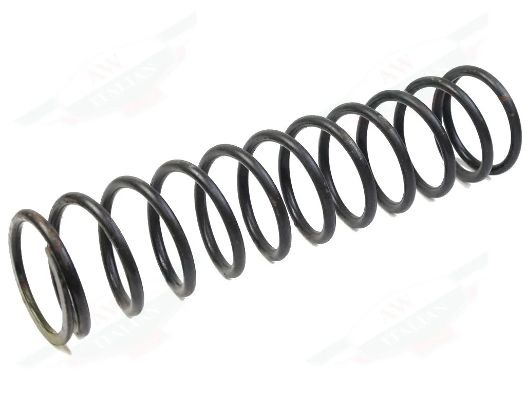 Ferrari Rear Road Spring - 600384
