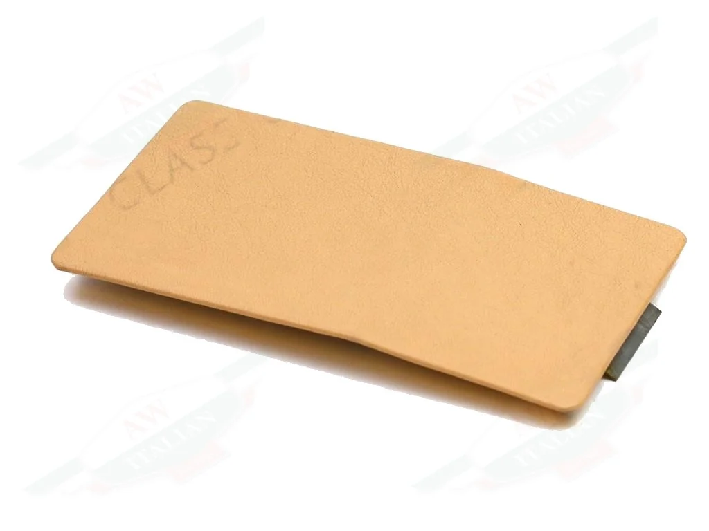 Ferrari Rear Trim Plate - 60882900