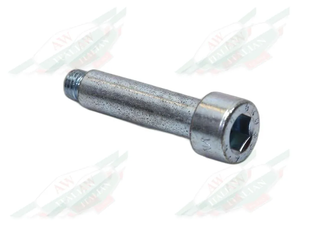 Ferrari Hinge Pin - 60919100