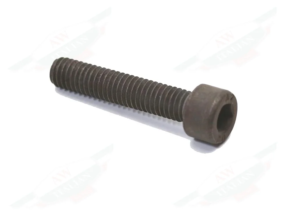 Ferrari Tr Engine Cover Location Screw - 61577100