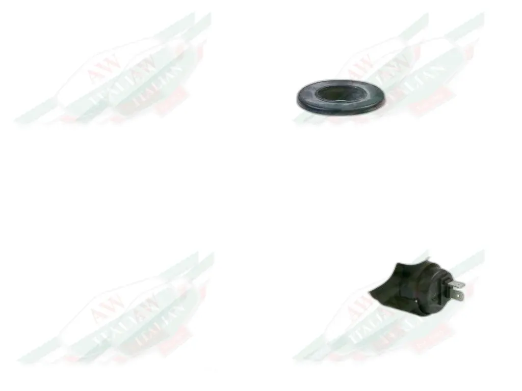Ferrari Screen Washer Reservoir - 63970100