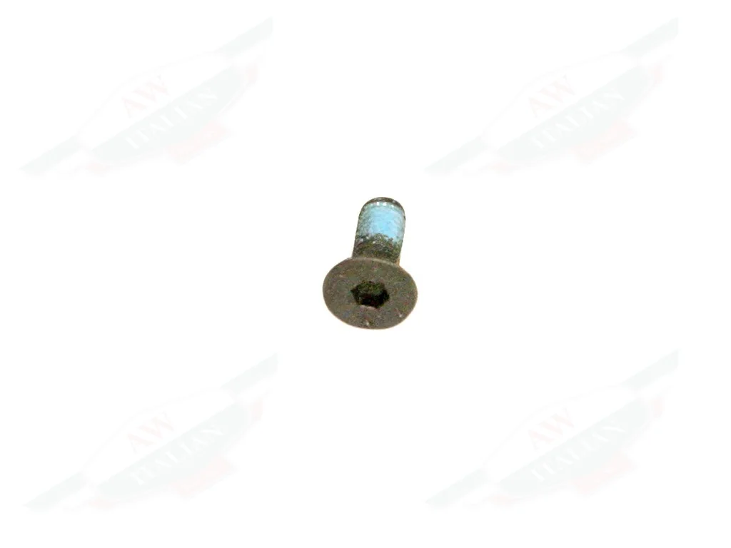 Ferrari Screw - 64487400