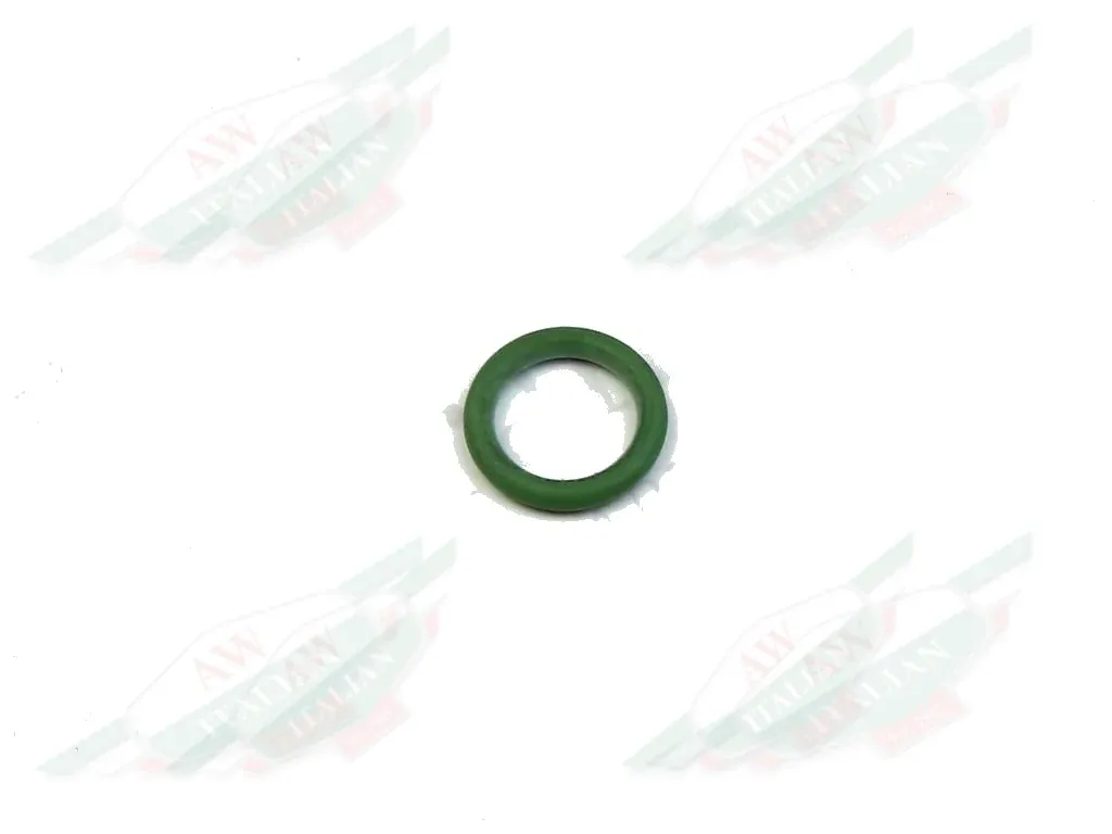 Ferrari O-Ring - 66309600