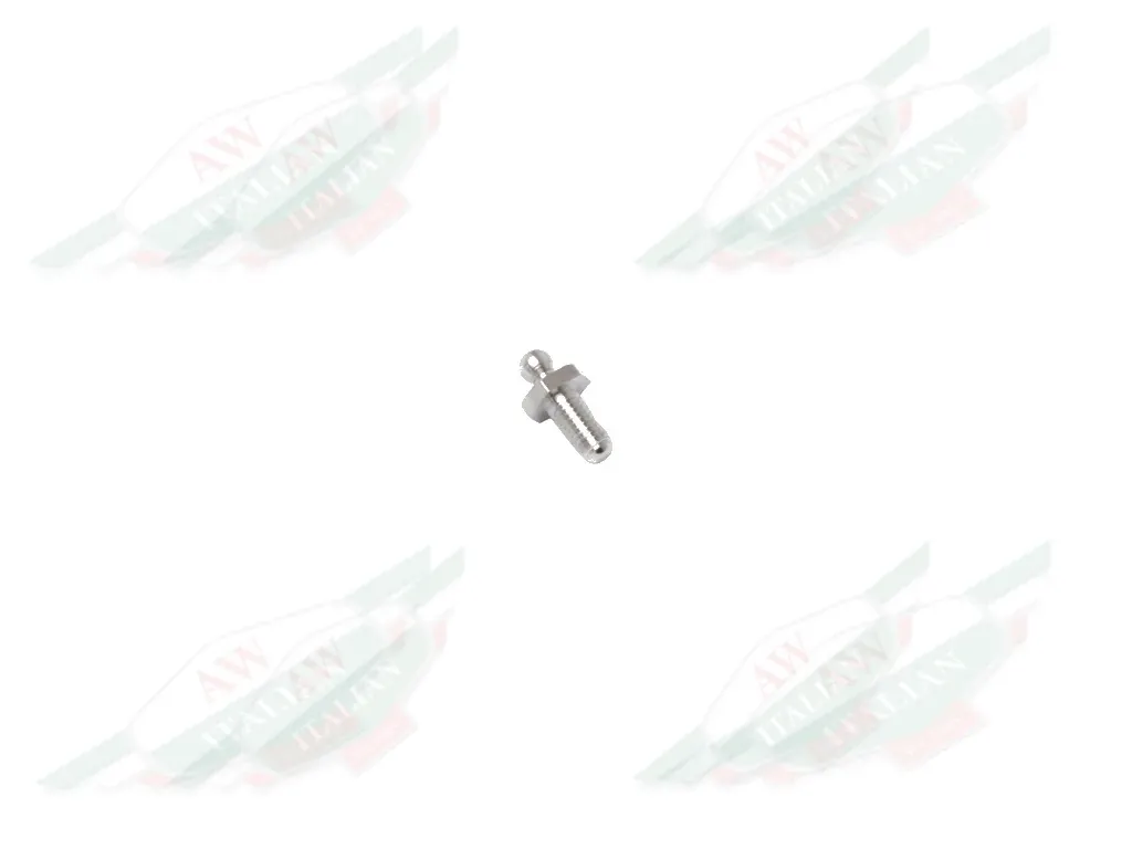 Ferrari Roof Fixing Button - 66381500