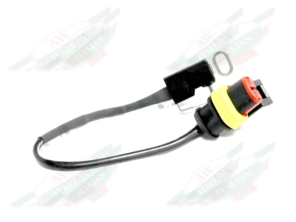 Ferrari Roof Micro Switch - 66456000