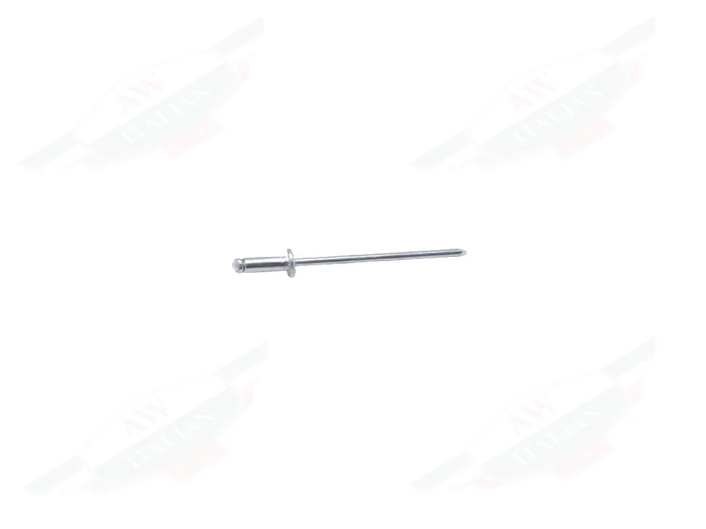 Ferrari Rivet - 66690000
