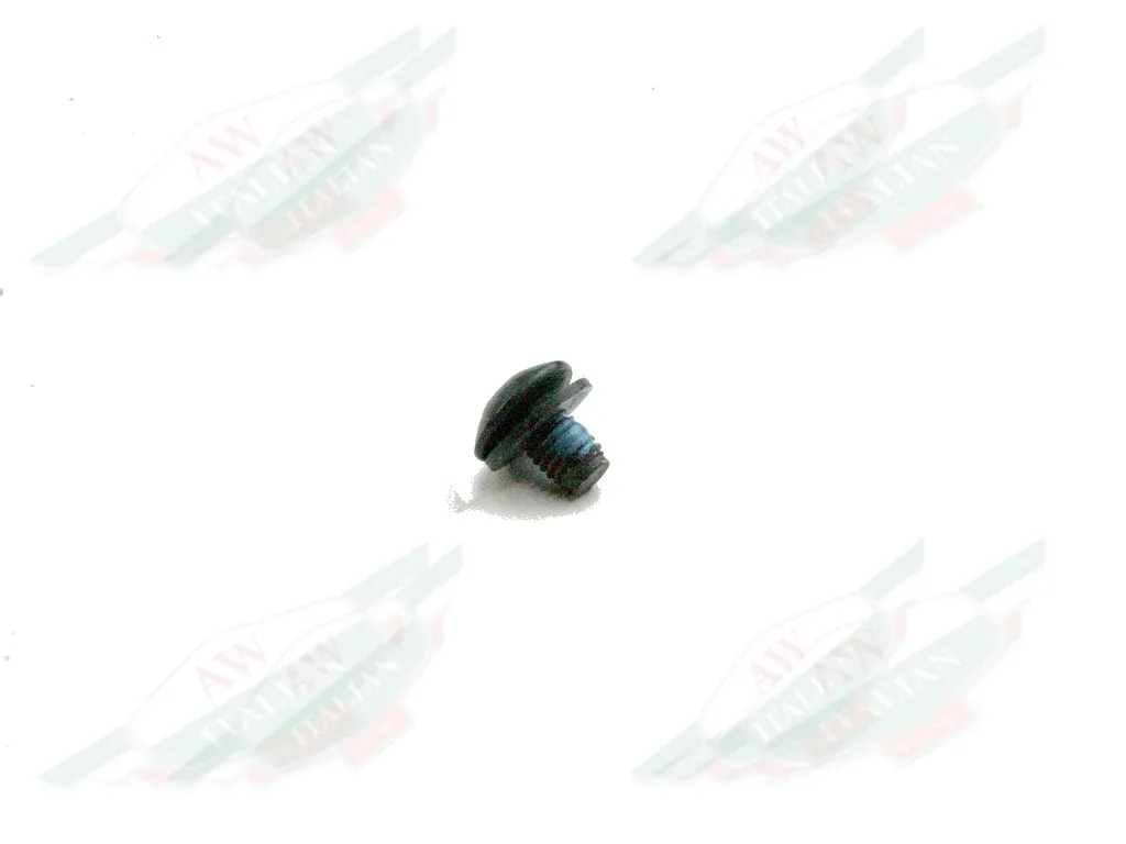 Ferrari Screw - 67077900