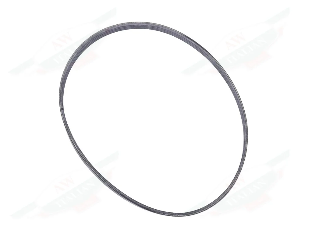 Ferrari Elastic Water Pump Drive Belt - 769110