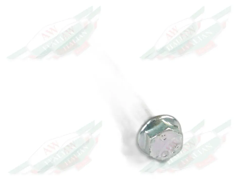 Ferrari Screw - 80415900