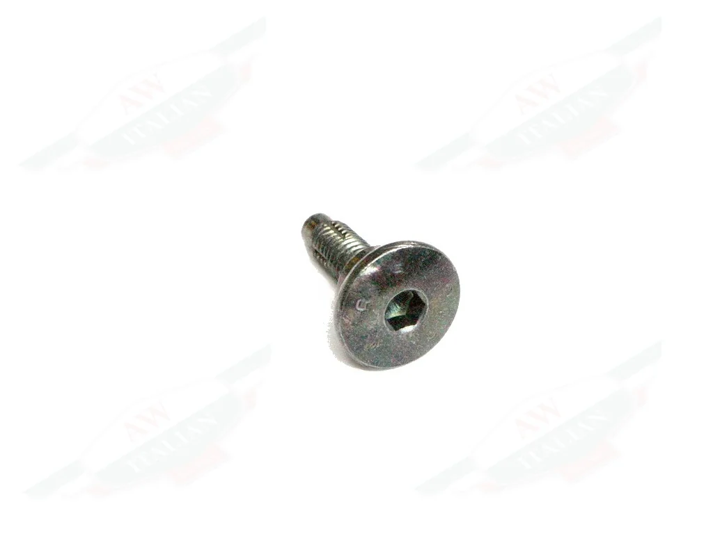 Ferrari Screw - 81916800