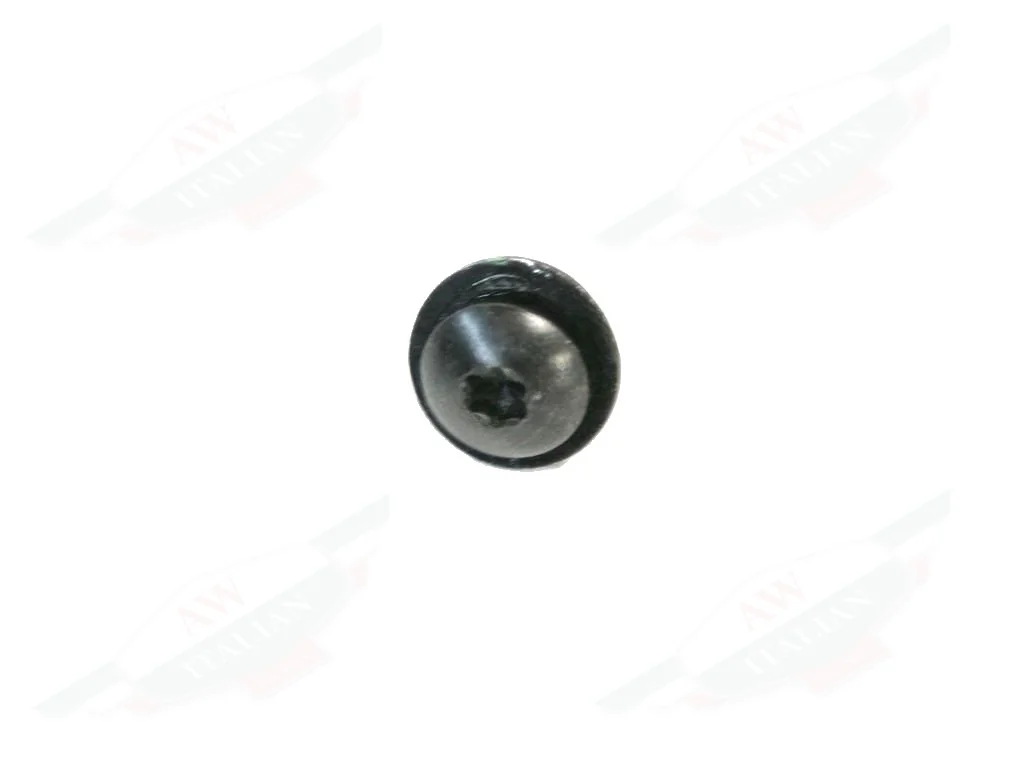 Ferrari Screw M6 x 14 With Washer - 82115900